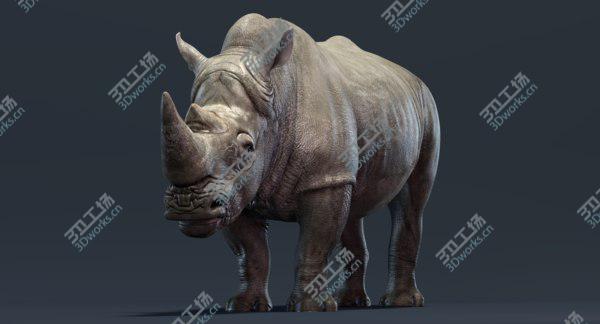 images/goods_img/20210312/Rhino Family 3D/2.jpg